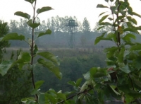 Russian Watchtower